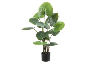 4041104079772 - casa NOVA Kunstpflanze FÄCHERPALME (BHT 57x95x50 cm) BHT 57x95x50 cm bunt Pflanze Kunstblume Zimmerpflanze