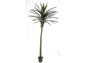 4041104080532 - casa NOVA Kunstpflanze PALME (BHT 106x228x106 cm) BHT 106x228x106 cm grün Pflanze Kunstblume Zimmerpflanze