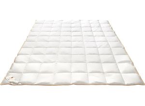 4041134042395 - Daunenbettdecke FRAU HOLLE Ava Bettdecken für Sommer oder Winter hergestellt in Deutschland Gr B L 200 cm x 200 cm leicht weiß Allergiker Bettdecke