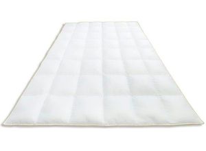 4041134042401 - Daunenbettdecke FRAU HOLLE Ava Bettdecken für Sommer oder Winter hergestellt in Deutschland Gr B L 135 cm x 200 cm normal weiß Allergiker Bettdecke