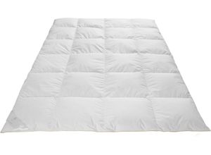 4041134042449 - Daunenbettdecke FRAU HOLLE Ava Bettdecken für Sommer oder Winter hergestellt in Deutschland Gr B L 200 cm x 200 cm warm weiß Allergiker Bettdecke