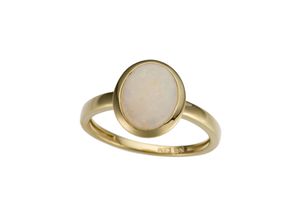 4041633002500 - Goldring FIRETTI Schmuck Geschenk Gold 585 Damenring Edelstein Farbstein Fingerringe Gr 16 Gelbgold 585 2 mm weiß (gelbgoldfarben weiß weiß) Damen Fingerringe mit Opal