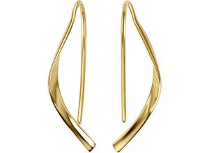 4041633115156 - Paar Ohrhaken FIRETTI Schmuck Geschenk Gold 333 Ohrschmuck Ohrringe Ohrringe Gr Gelbgold 333 gelb (gelbgoldfarben) Damen Ohrhaken