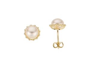 4041633995673 - Paar Ohrstecker FIRETTI Schmuck Geschenk Gold 333 Perlenohrstecker Perle Ohrringe Gr Gelbgold 333-Perlen weiß (gelbgoldfarben weiß) Damen Ohrstecker mit Süßwasserzuchtperle