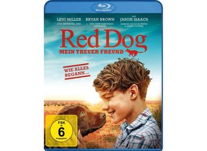 4042564186604 - Red Dog - Mein treuer Freund (Blu-ray)