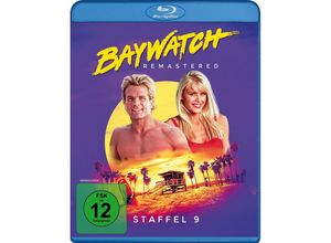 4042564195767 - Baywatch - 9 Staffel High Definition Remastered (Blu-ray)