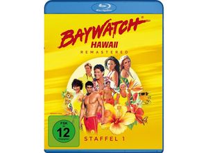 4042564205619 - Baywatch Hawaii Staffel 1 (Blu-ray)