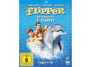 4042564209297 - Flipper - Staffel 1 (Blu-ray)