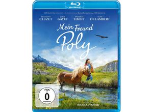 4042564213126 - Mein Freund Poly (Blu-ray)