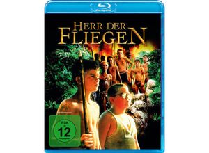 4042564213928 - Harry Hook - GEBRAUCHT Herr der Fliegen [Blu-ray] - Preis vom 01072023 050702 h