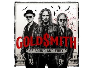 4042564222951 - Goldsmith - GEBRAUCHT Of Sound and Fury - Preis vom 05062023 050549 h