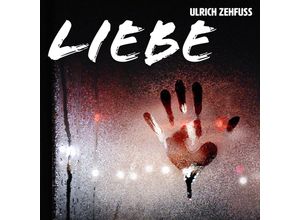 4042564226898 - Liebe - Ulrich Zehfuss (CD)