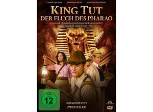 4042564231731 - King Tut - Der Fluch des Pharao (DVD)