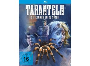 4042564236538 - Taranteln - Sie kommen um zu töten (Blu-ray)