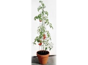 4042897904005 - Bellissa Tomatenturm 120cm 120 cm hoch