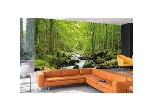 4043566180607 - PAPERMOON Fototapete Soft Water Stream Tapeten Gr B L 35 m x 26 m Bahnen 7 St bunt (mehrfarbig) Fototapeten Tapeten