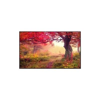 4043566901028 - Infrarotheizkörper EcoHeat 60X100 cm 600 Watt Herbstwald