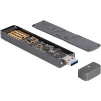 4043619420216 - DELOCK 42021 - Externes M2 NVMe SSD   M2 SATA SSD Gehäuse USB 31