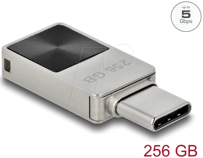 4043619540099 - DeLOCK Mini USB 5 Gbps USB-C Speicherstick 256 GB - Metallgehäuse (54009)