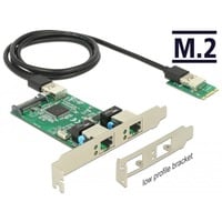 4043619634255 - Konverter M2 Key b+m Stecker 2 x Gigabit lan – Low Profile Formfaktor (63425) - Delock