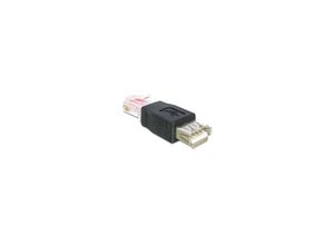 4043619652341 - Usb Adapter usb - RJ45 Bu St (65234) - Delock