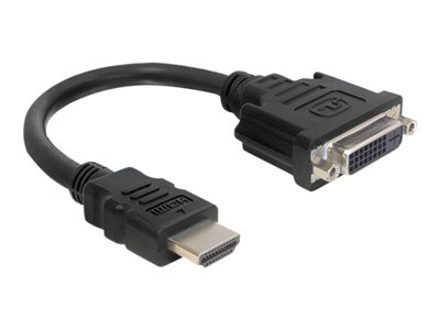 4043619653270 - DELOCK 65327 - DVI Adapter HDMI Stecker auf DVI 24+5 Buchse 20 cm