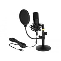 4043619663002 - DeLOCK Professional USB Condenser Microphone Set for Podcasting and Gaming - Mikrofon - USB - Schwarz