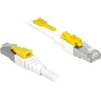 4043619853304 - DeLOCK DELOCK RJ45 Kabel Cat 6A Secure 05m St St (85330)