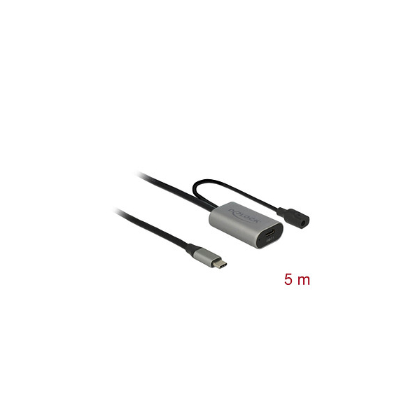 4043619853922 - Super Speed USB C 31Super Speed USB C 31 Kabel Verlängerung 05 m grau 4043619853922 DeLOCK