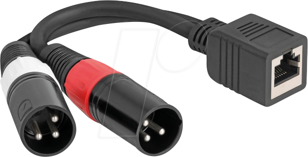 4043619881796 - DELOCK 88179 - XLR Audio Extender & Adapter Cat 5 20 cm