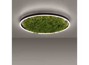 4043689994808 - Just Light led Deckenleuchte Green Ritus in Moos 28W 3650lm 585mm - green