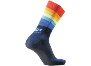 4043692447605 - Workwear Sock rainbow 160500 Arbeitssocken Funktionssocken Gr 39-47 Größe 39-41 - Atlas