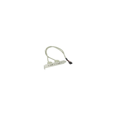 4043718014194 - Slot bracket - USB-Konsole - 10-poliger USB-Header (W) zu USB (W) - 35 cm 4043718014194 - Slot bracket - USB-Konsole - 10-poliger USB-Header (W) zu USB (W) - 35 cm
