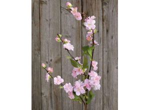 4043816320418 - Kunstblume KIRSCHBLÜTENZWEIG (H 88 cm) H 88 cm rosa Pflanze Kunstpflanze Zimmerpflanze