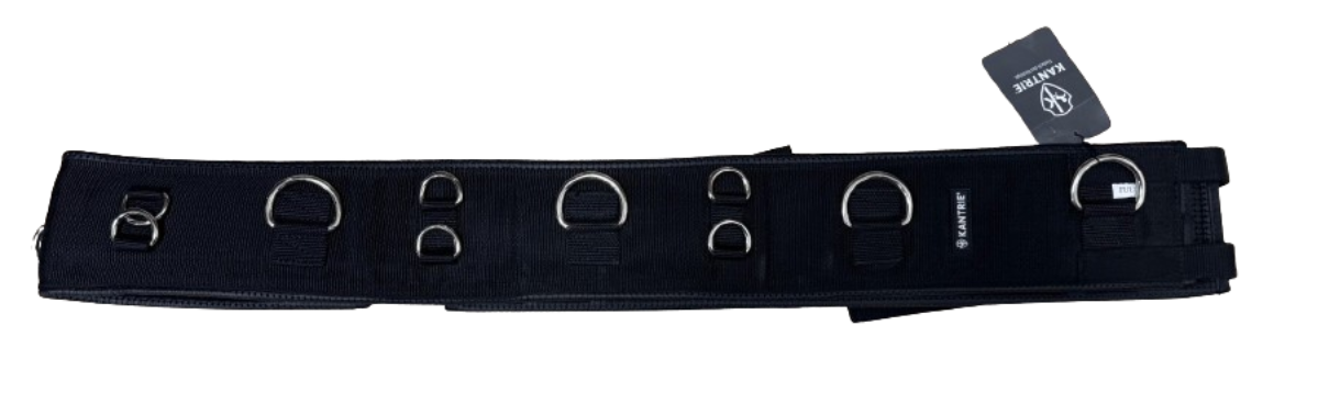 4043969201084 - Longierring mit Ringen Schwarz 4043969201084 - Longierring mit Ringen Schwarz