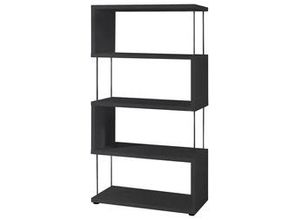 4044393299043 - - Standregal Raumteiler Bücherregal Stauraumregal sticks 5-66 Schwarz