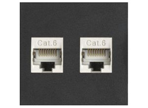 4044657014467 - Evoline - Wechselmodul 2x RJ45 CAT6 Buchse vorne und hinten Kunststoff schwarz