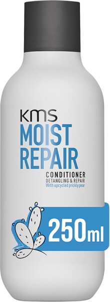 4044897892467 - MOISTREPAIR Conditioner 250 ml