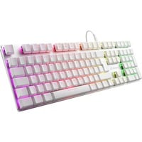 4044951034222 - PureWriter RGB - keyboard - QWERTZ - German - white - Tastaturen - Deutsch - Weiss 4044951034222 - PureWriter RGB - keyboard - QWERTZ - German - white - Tastaturen - Deutsch - Weiss