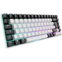 4044951039173 - SHARK SGK50S3WB - Gaming-Tastatur USB RGB Gateron Brown Hot Swap