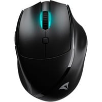 4044951039647 - SHARK M25W SW - Maus (Mouse) Funk USB RGB schwarz