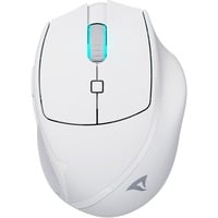 4044951039654 - SHARK M25W WS - Maus (Mouse) Funk USB RGB weiß