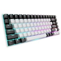 4044951039661 - SKILLER SGK50 S3 Gaming-Tastatur