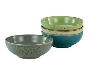 4045486234200 - Nature Collection - Smoothibowl Bowl-Set 4 teilig - B-Ware neuwertig