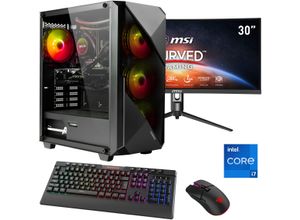 4045643123941 - F (A bis G) HYRICAN Gaming-PC-Komplettsystem Striker SET02394 Computer-Komplettsysteme DDR5 Windows 11 inklusive 30 Curved Monitor MSI Optix MAG301CR2 Gr Microsoft Windows 11 Home (64 Bit) 16 GB RAM 1000 GB SSD schwarz PC Sets