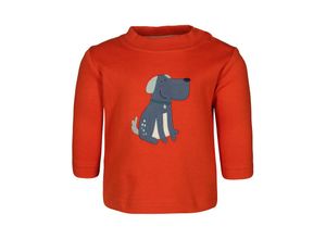 4045646250040 - Sigikid - Langarmshirt HUND - BABY in orange Gr68