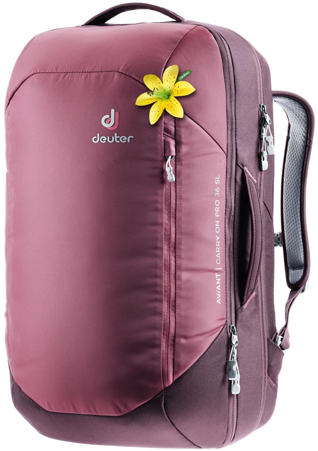 4046051098937 - Aviant Carry On Pro 36 SL Rucksack (Farbe 5543 maron aubergine)