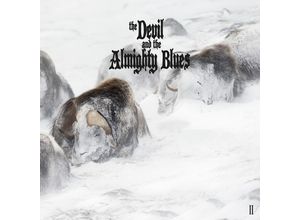 4046661470017 - Ii (Vinyl) - The Devil And The Almighty Blues (LP)