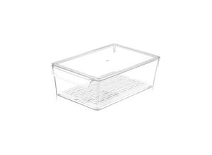 4047125407686 - Kühlschrank Organizer mit Deckel und Sieb Breite 20cm Höhe 10cm - Michelino