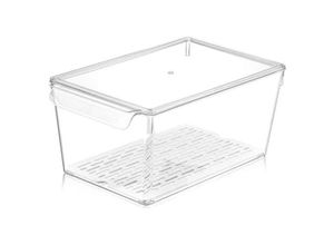 4047125407693 - Kühlschrank Organizer mit Deckel und Sieb Breite 20cm Höhe 14cm - Michelino